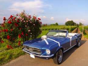 1967 Ford Mustang Hochzeitsauto